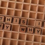 market recovery reasons