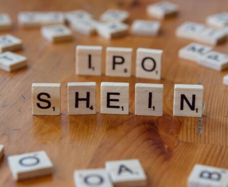 Shellz India IPO